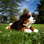 Plyšový bernský salašnický pes 30 cm