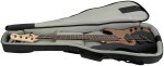 Dingwall SP1 5 RW Metallic Black