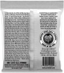 Ernie Ball 2409 Ernesto Palla Gold Ball End