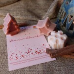 Sójový aroma vosk VÁNOČNÍ KLASIKA (Přírodní sójový vosk do aromalampy vánoční klasika)