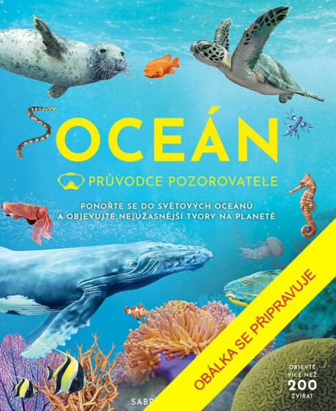Průvodce pozorovatele: Oceán