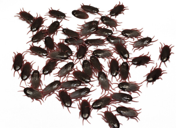 Erfurth.cz Šváb gumový - 1 kus