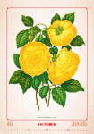 Nástěnný kalendář 2026 Helma - Herbarium, 31,5 x 45 cm