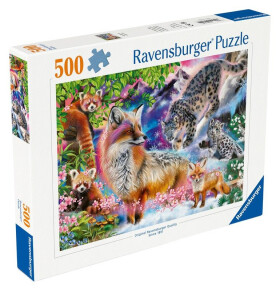 Puzzle Himálajská harmonie 500 dílků