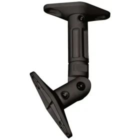 Neomounts SPEAKER-W100BLACK Stropní držák pro reproduktor černá / nosnost 5kg / naklápění +90° -90° (SPEAKER-W100BLACK)