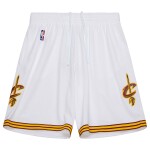 Mitchell & Ness Pánské kraťasy Cleveland Cavaliers NBA 2015-16 Swingman Shorts Velikost: XL