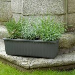 Plastia Samozavlažovací truhlík FLORIA SIESTA 80 cm 80 cm 20 cm