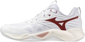Mizuno Wave Momentum Pro - Volejbalová obuv Mizuno WAVE MOMENTUM PRO V1GC254073 Velikost obuvi v EU: 37