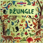 Džungle