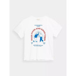 Outhorn t-shirt OTHSS23TTSHM450-10S pánské