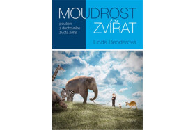 Moudrost zvířat: Linda Bender