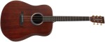 Tanglewood TE5BL