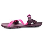 Xero shoes Z-trail EV Fuchsia Purple