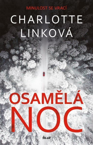 Osamělá noc (poškozená) - Charlotte Linková