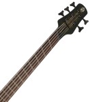 Spector NS Dimension MS 5 Haunted Moss