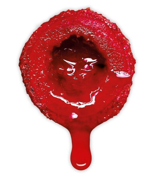 LK Baits Nutrigo Extra Spice Shrimp,LK Baits Nutrigo Extra Spice Shrimp