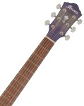 Ibanez AEG70 Purple Iris Burst