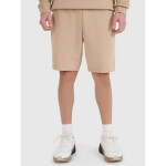 Šortky 4F M 4FWSS25TSHOM571-83S 2XL
