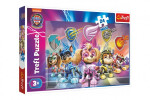 Puzzle Tlapková patrola: Psí mise MAXI 24 dílků