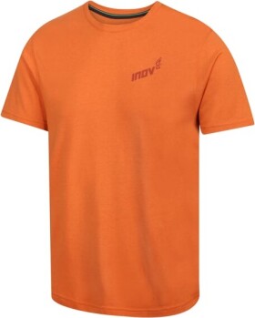 Běžecké tričko Inov-8 GRAPHIC TEE "BRAND" Velikost textilu: