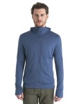 ICEBREAKER Mens Merino 260 Quantum IV LS Zip Hoodie, Dawn velikost: S