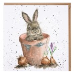 Přání Wrendale Designs The Flower Pot, 15x15 cm - Králík v květináči