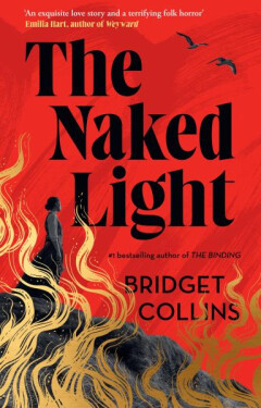 The Naked Light - Bridget Collins