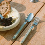 SABRE PARIS 4-dílná sada příborů Bistrot Brillant – Asparagus, zelená barva, kov, plast