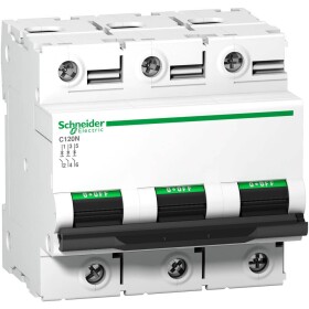 Schneider Electric A9N18365 A9N18365 elektrický jistič 80 A 375 V/DC