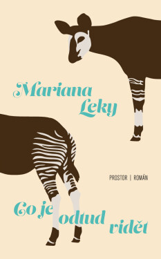 Co je odtud vidět - Mariana Leky