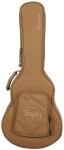 Taylor GS Mini Sapele