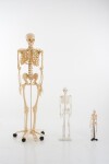 TickiT Kostra 85cm (model v měřítku 1/2)