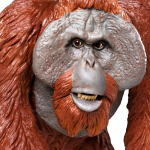 Safari Ltd. Safari Ltd. Orangutan bornejský