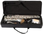 Bacio Instruments BTS-100SG