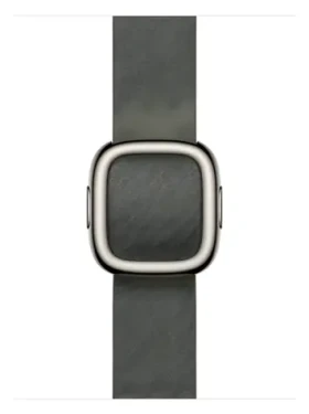 Apple Watch Modern Buckle 42mm - vel.L - šalvějově šedá / Řemínek s moderní přezkou / 160–180 mm (MGGC4ZM/A)
