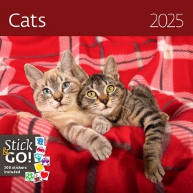 Kalendář nástěnný 2025 Cats