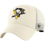 Pittsburgh Penguins