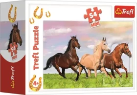 TREFL Puzzle Svět koní: Cvalem přes louku