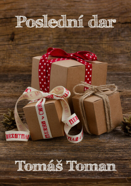 Poslední dar - Tomáš Toman