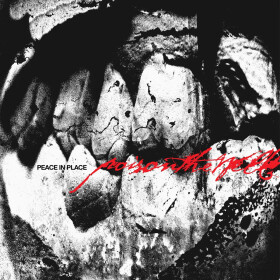 LP Poison The Well: Peace In Place