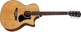 Eastman PCH2-GACE