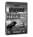 Nabarvené ptáče DVD