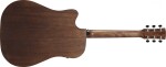 Ibanez AW247CE Natural