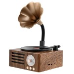 Retro Bluetooth reproduktor se skrytou Full HD WiFi kamerou - WF-LS68