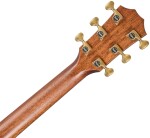 Taylor Builder's Edition 814ce Next Generation