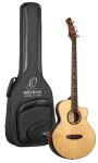 Ortega KTSM2-4 Ken Taylor Signature 4 NAT