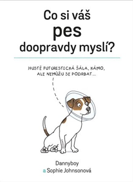 Co si váš pes doopravdy myslí