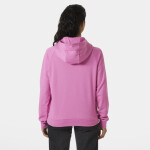Helly Hansen Core Graphic Hoodie W 54239 089 L