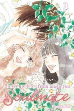 Kimi ni Todoke: From Me to You: Soulmate, Vol. 3 - Karuho Shiina