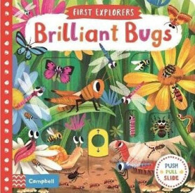 Brilliant Bugs - Chorkung